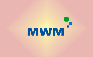 ✓ MWM 0403 3776 Запчасть MWM 